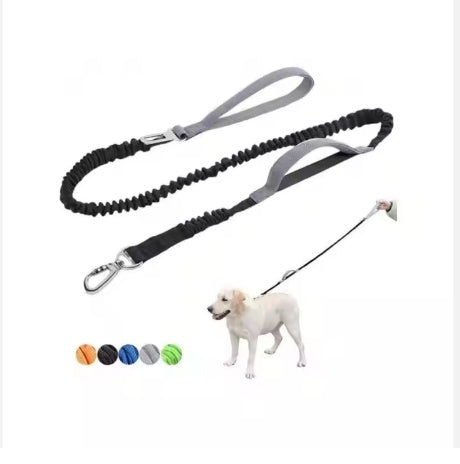 Dog Explosion Proof Impact Leash (4-6 Feet Long)