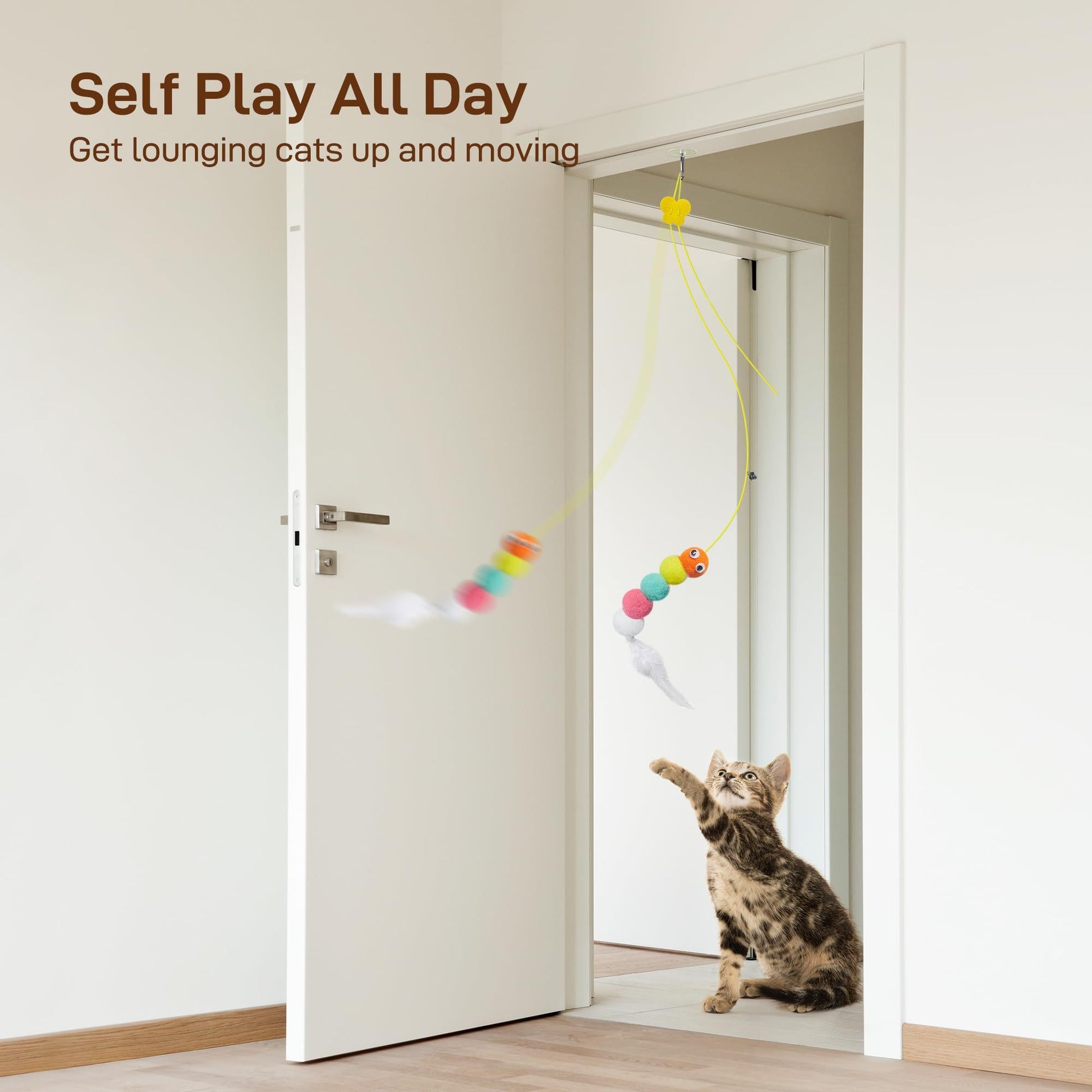 Interactive Cat Feather Toys 5 Pcs For Mental And Physical Stimulation.