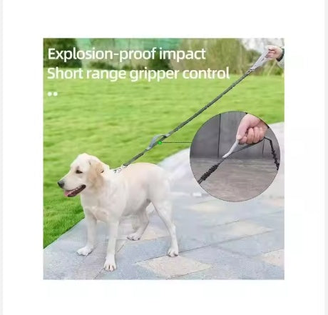 Dog Explosion Proof Impact Leash (4-6 Feet Long)